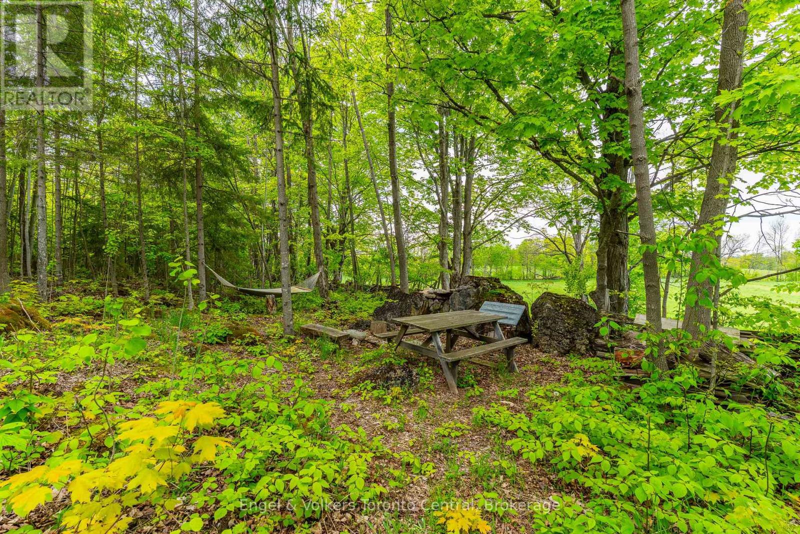 215588 Concession 4, Chatsworth, Ontario  N0H 2V0 - Photo 44 - X12208304