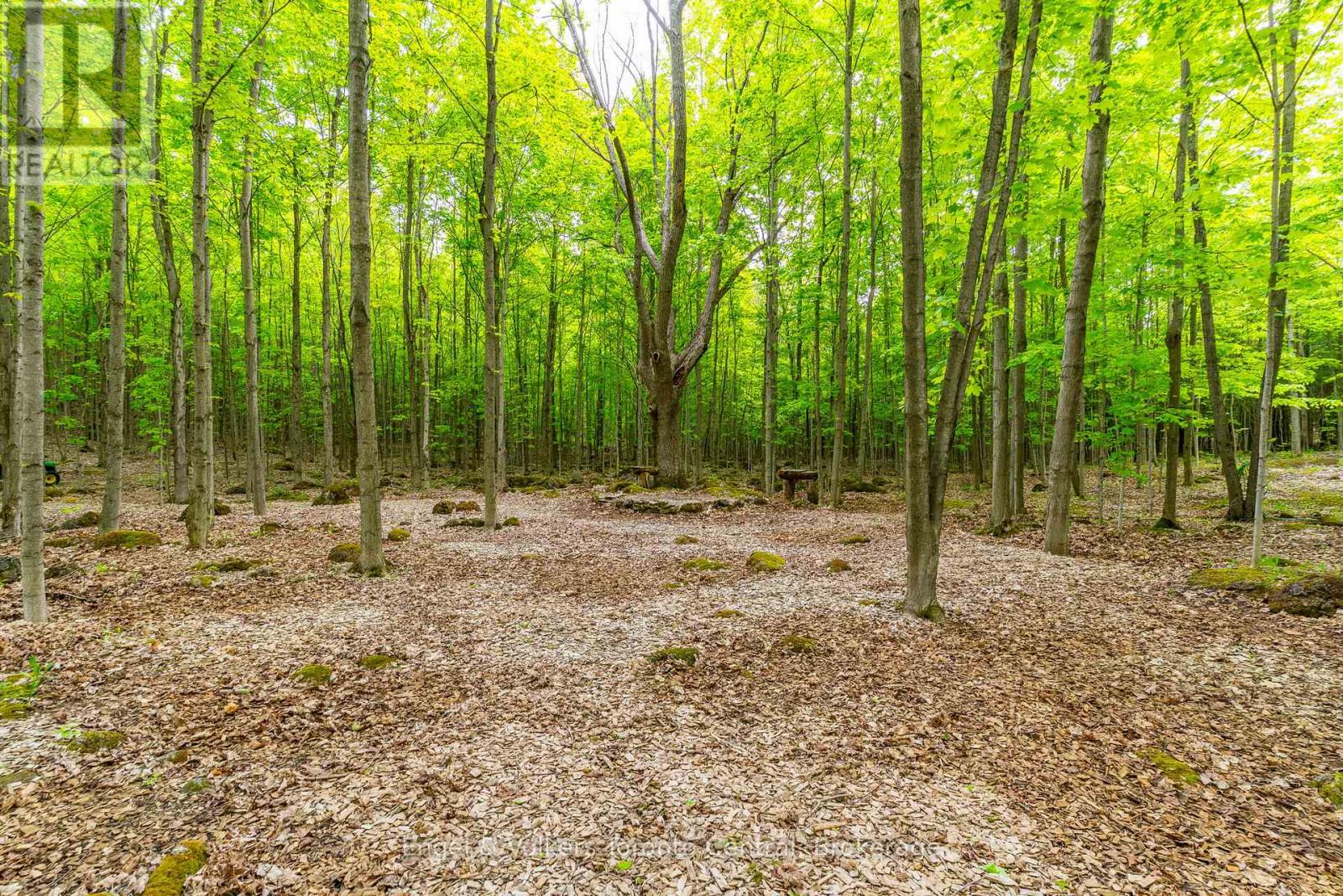 215588 Concession 4, Chatsworth, Ontario  N0H 2V0 - Photo 47 - X12208304