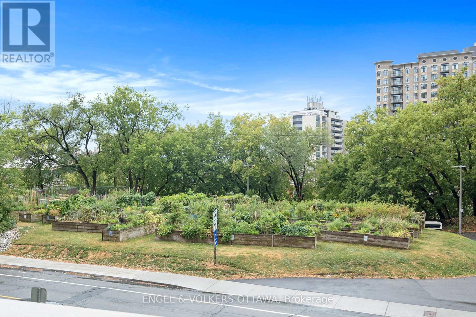 203 - 570 Laurier Avenue W, Ottawa, Ontario  K1R 1C8 - Photo 23 - X12373539