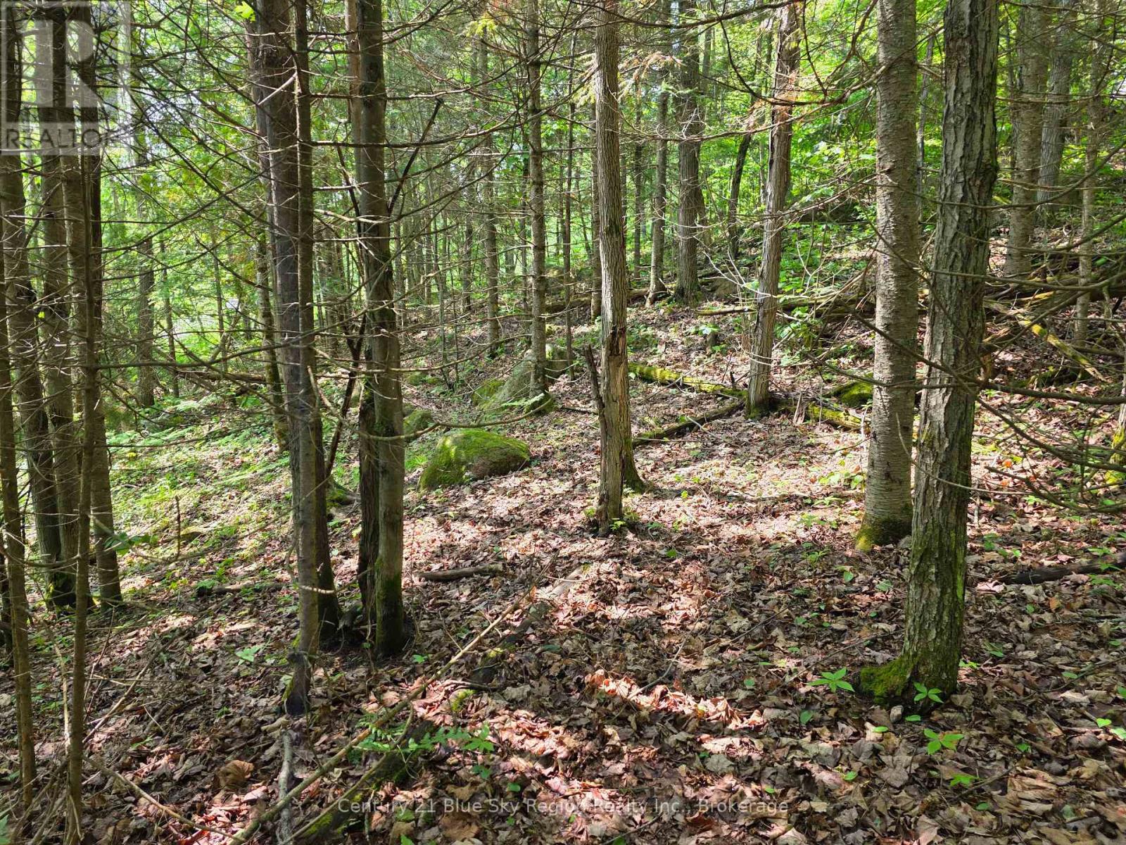 104 Greenwood Drive, Bonfield, Ontario  P0H 1E0 - Photo 10 - X12373495