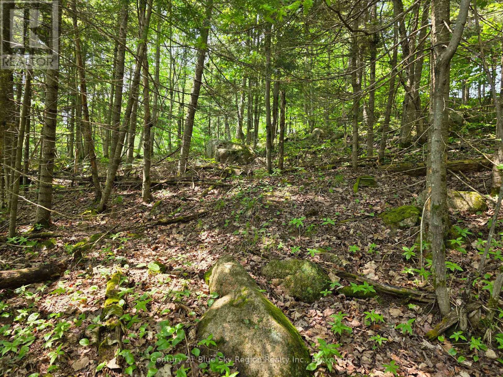 104 Greenwood Drive, Bonfield, Ontario  P0H 1E0 - Photo 11 - X12373495