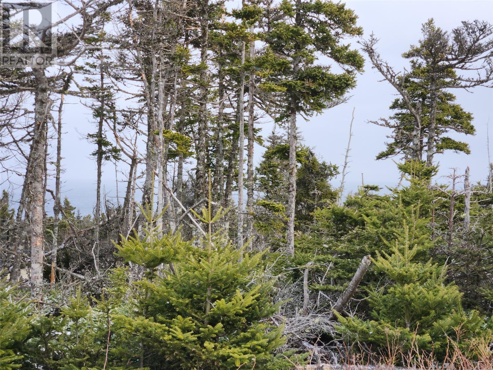 8 Silver Head Way, Logy Bay Middle Cove Outer Cove, Newfoundland & Labrador  A1K 2A1 - Photo 6 - 1282269