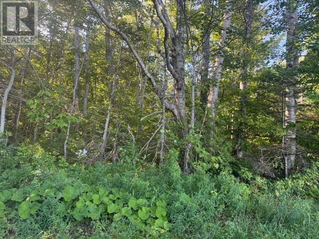 2832 Rte 14, Glenwood, Prince Edward Island  C0B 1V0 - Photo 1 - 202522072