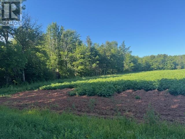 2832 Rte 14, Glenwood, Prince Edward Island  C0B 1V0 - Photo 3 - 202522072