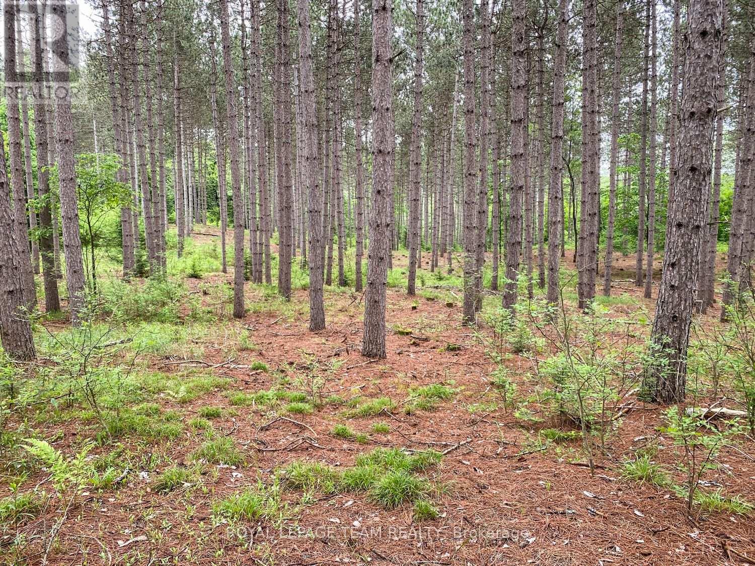 1477 Watsons Corners Road, Lanark Highlands, Ontario  K0G 1K0 - Photo 10 - X12373611