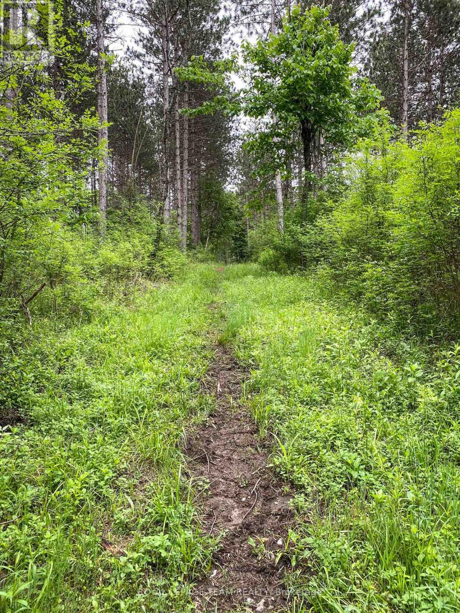 1477 Watsons Corners Road, Lanark Highlands, Ontario  K0G 1K0 - Photo 12 - X12373611