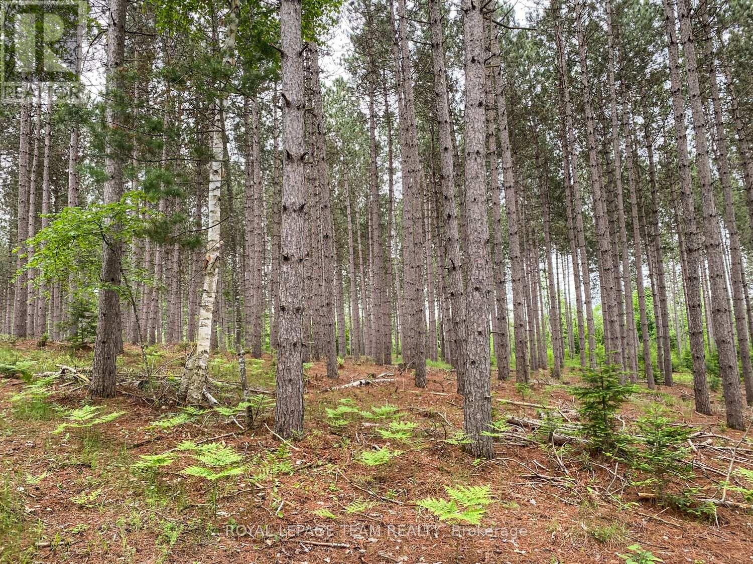 1477 Watsons Corners Road, Lanark Highlands, Ontario  K0G 1K0 - Photo 13 - X12373611