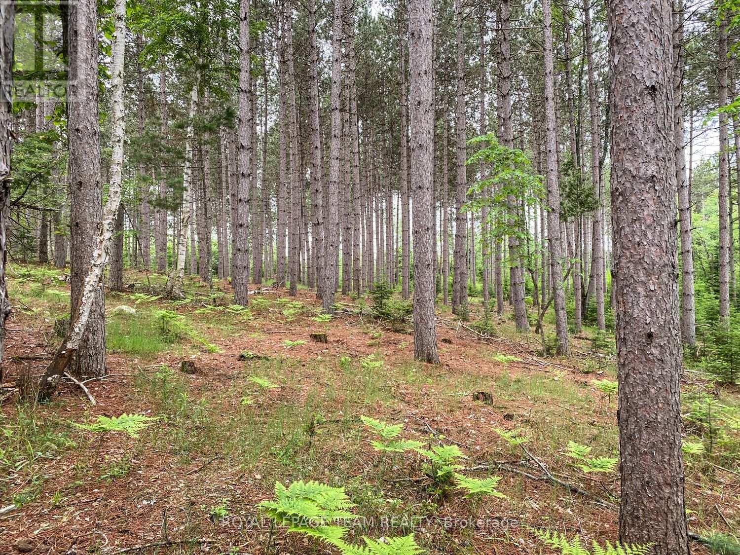 1477 Watsons Corners Road, Lanark Highlands, Ontario  K0G 1K0 - Photo 14 - X12373611
