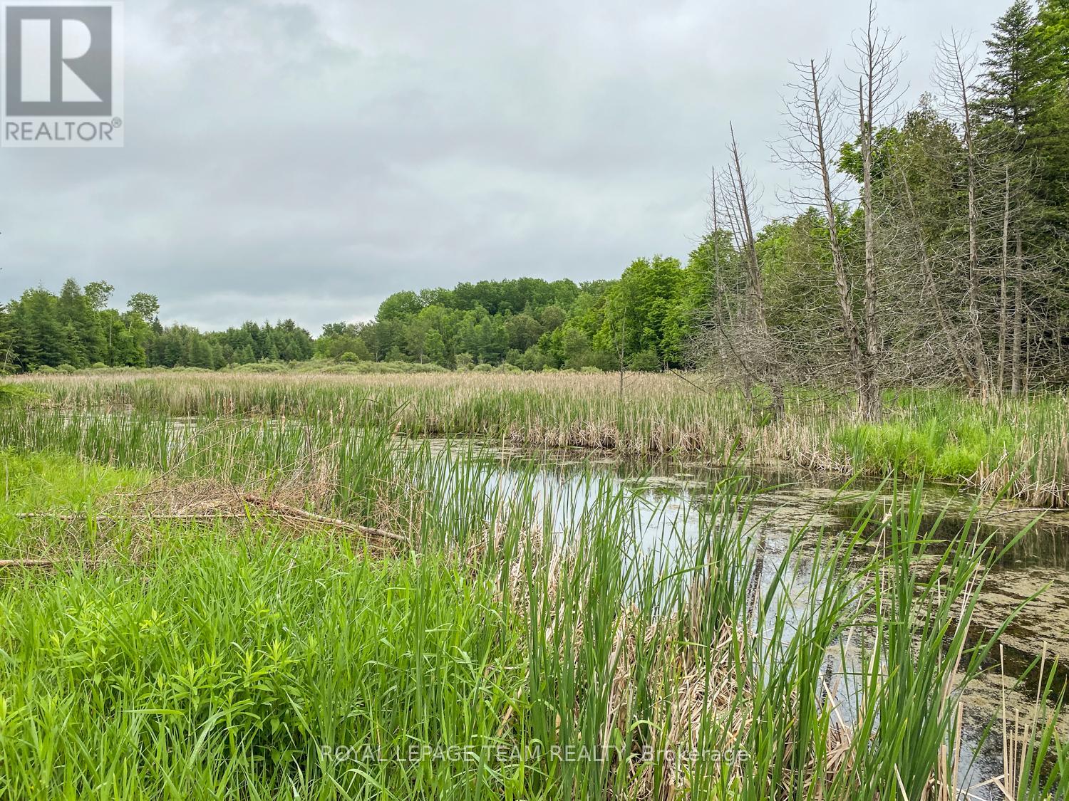 1477 Watsons Corners Road, Lanark Highlands, Ontario  K0G 1K0 - Photo 5 - X12373611