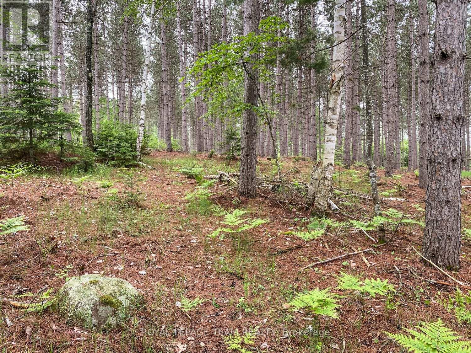 1477 Watsons Corners Road, Lanark Highlands, Ontario  K0G 1K0 - Photo 6 - X12373611