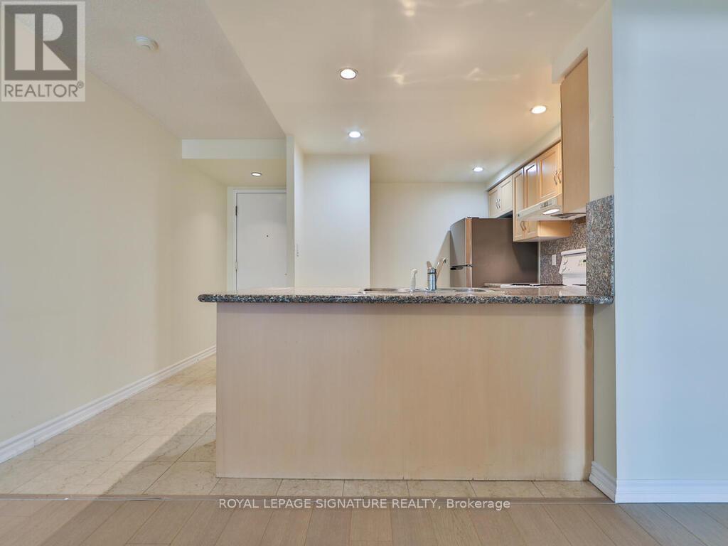 318 - 168 Simcoe Street, Toronto, Ontario  M5H 4C9 - Photo 11 - C12373484