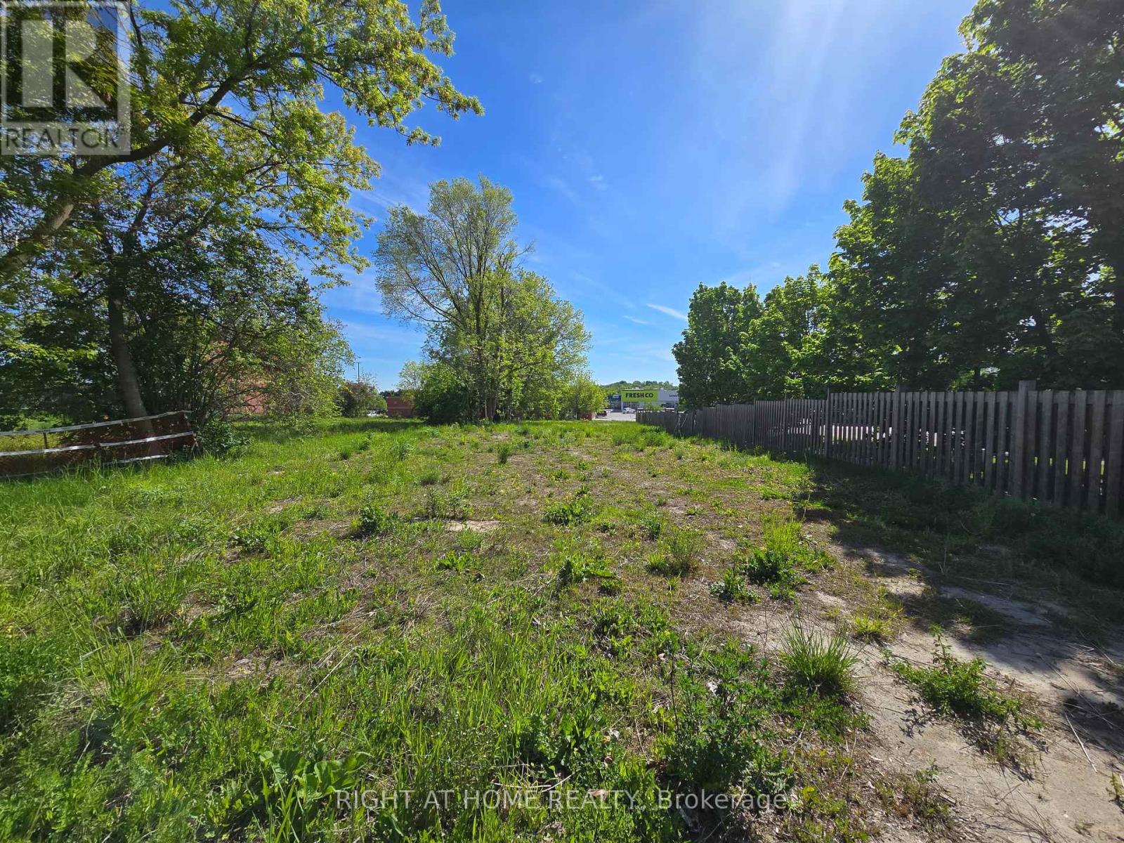 455 The Queensway S, Georgina, Ontario  L4P 2C9 - Photo 4 - N12373461