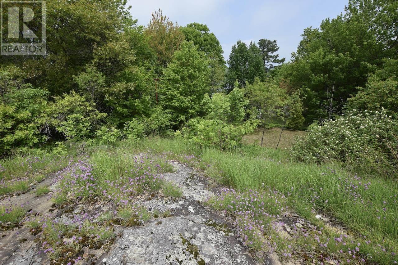 24 Dyke Street And 36 Hudson St, Blind River, Ontario  P0R 1B0 - Photo 23 - SM251526