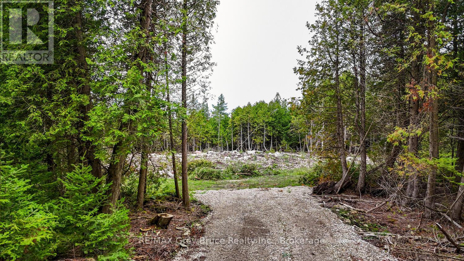 128 Devils Glen Road, Northern Bruce Peninsula, Ontario  N0H 2T0 - Photo 8 - X12373714