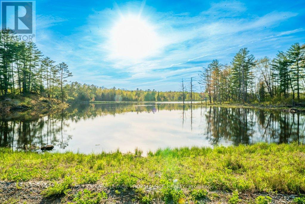 108575 Highway 7, Tweed, Ontario  K0K 2K0 - Photo 32 - X12373993