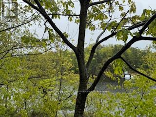 N/a Sunset Bay Road, Gravenhurst, Ontario  P1P 1R2 - Photo 9 - X12169419