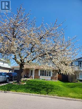 71 GRASSINGTON CRESCENT, Brampton, Ontario