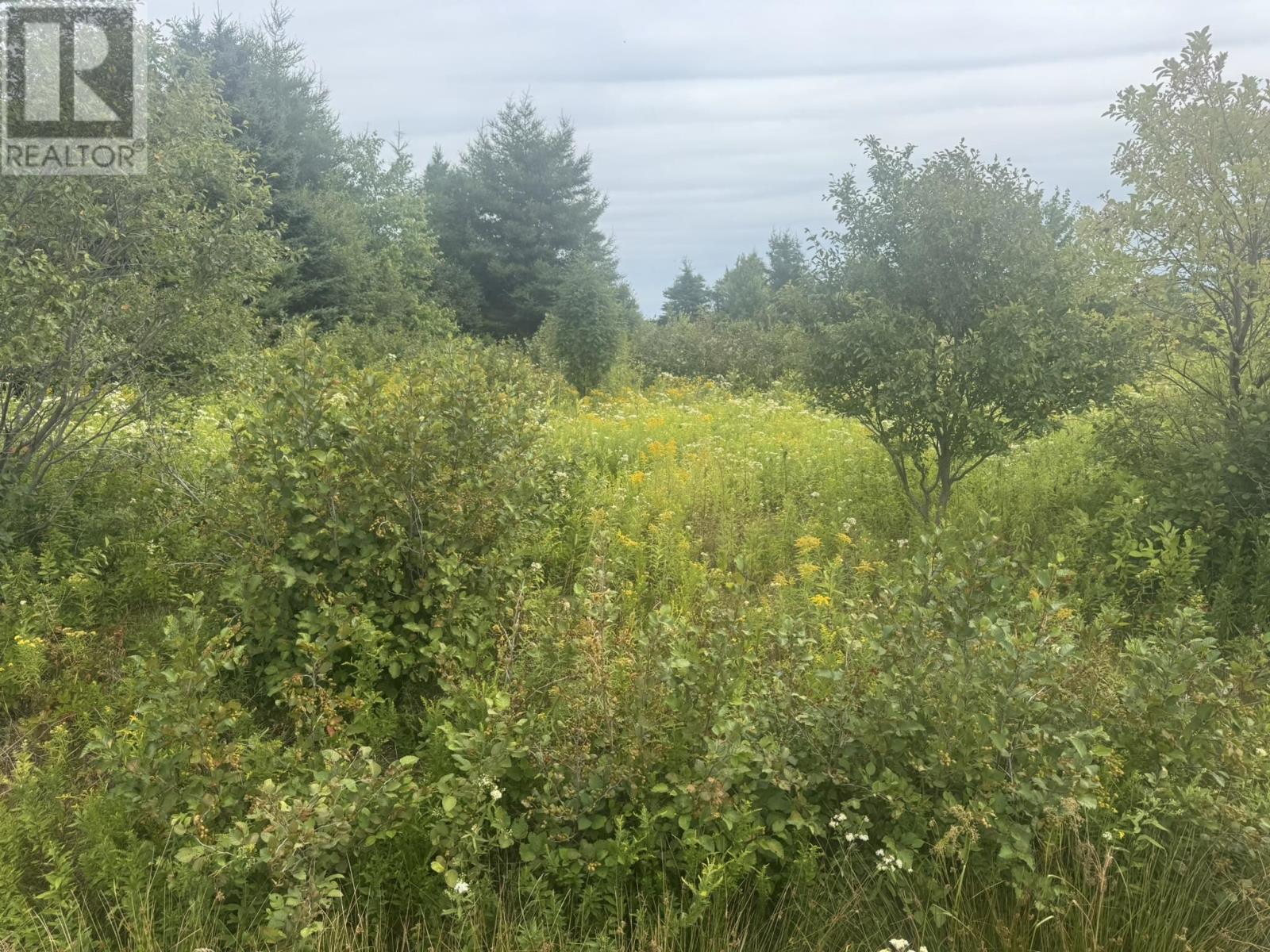 735 Clements Road, White Sands, Prince Edward Island  C0A 1W0 - Photo 1 - 202522110