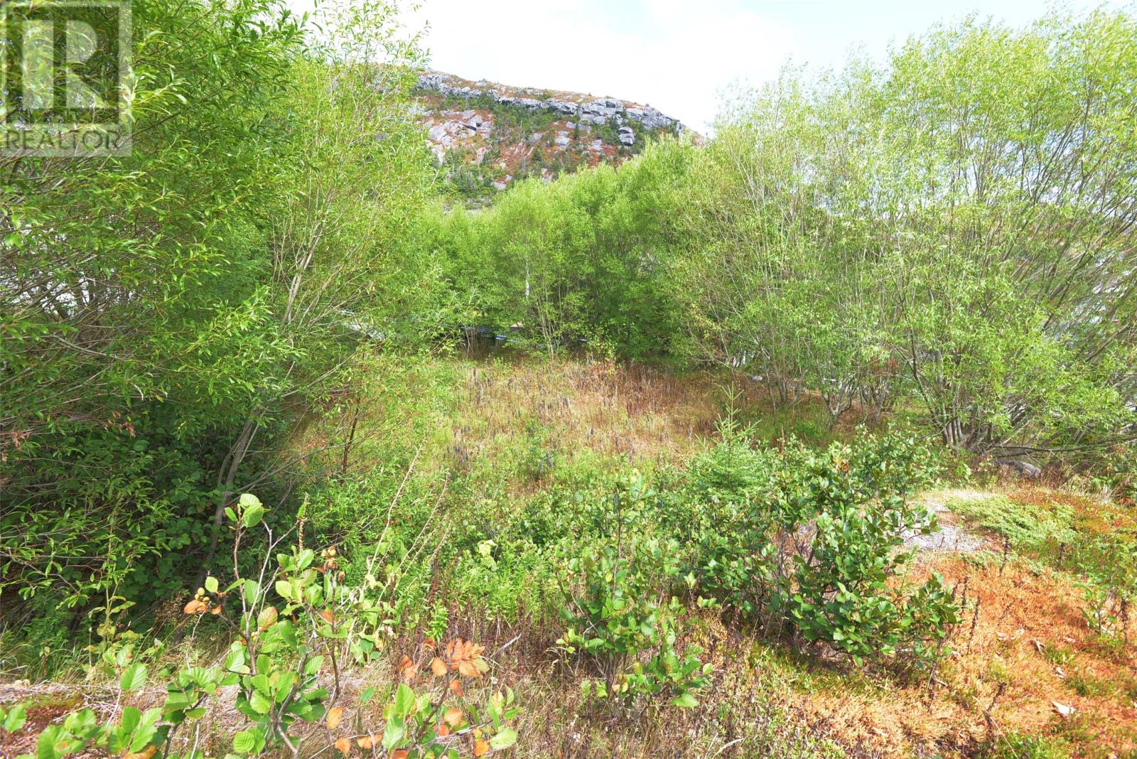 11-13 Kennedy's Lane, Petty Harbour, Newfoundland & Labrador  A0A 3H0 - Photo 5 - 1289888