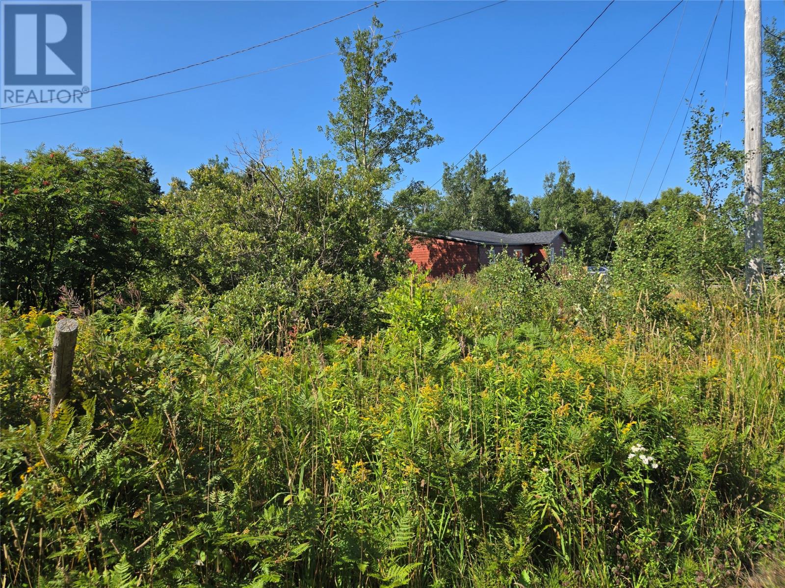 1069 Kings Road, St Fintans, Newfoundland & Labrador  A0N 1Z0 - Photo 3 - 1289870