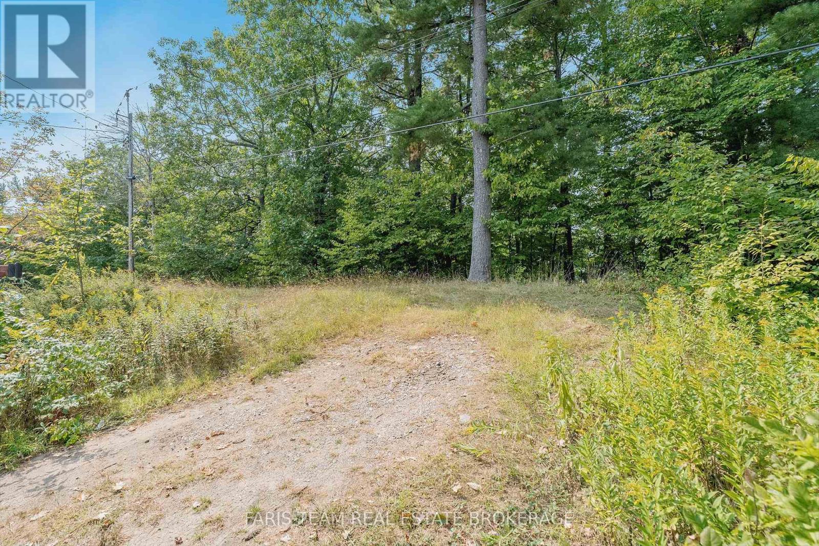 312 Westpoint Sands Road, Huntsville, Ontario  P1H 2J3 - Photo 10 - X12324475