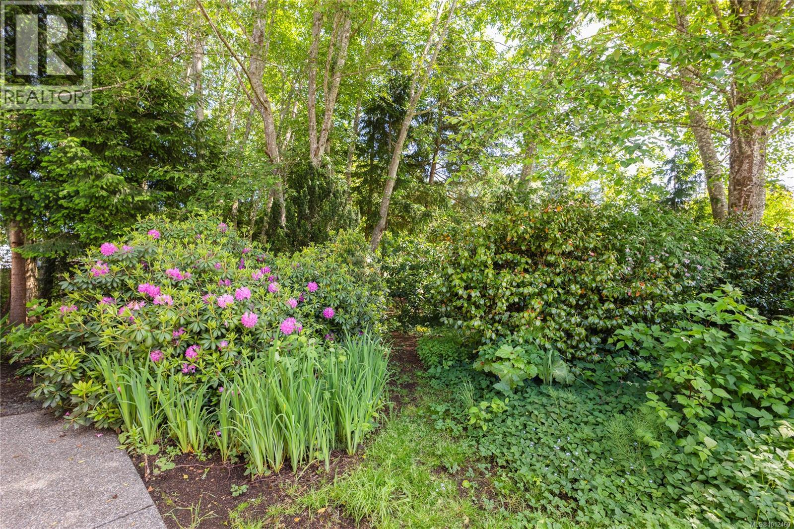 3816 Stuart Pl, Campbell River, British Columbia V9H 1J7 - Photo 56 - 1012460