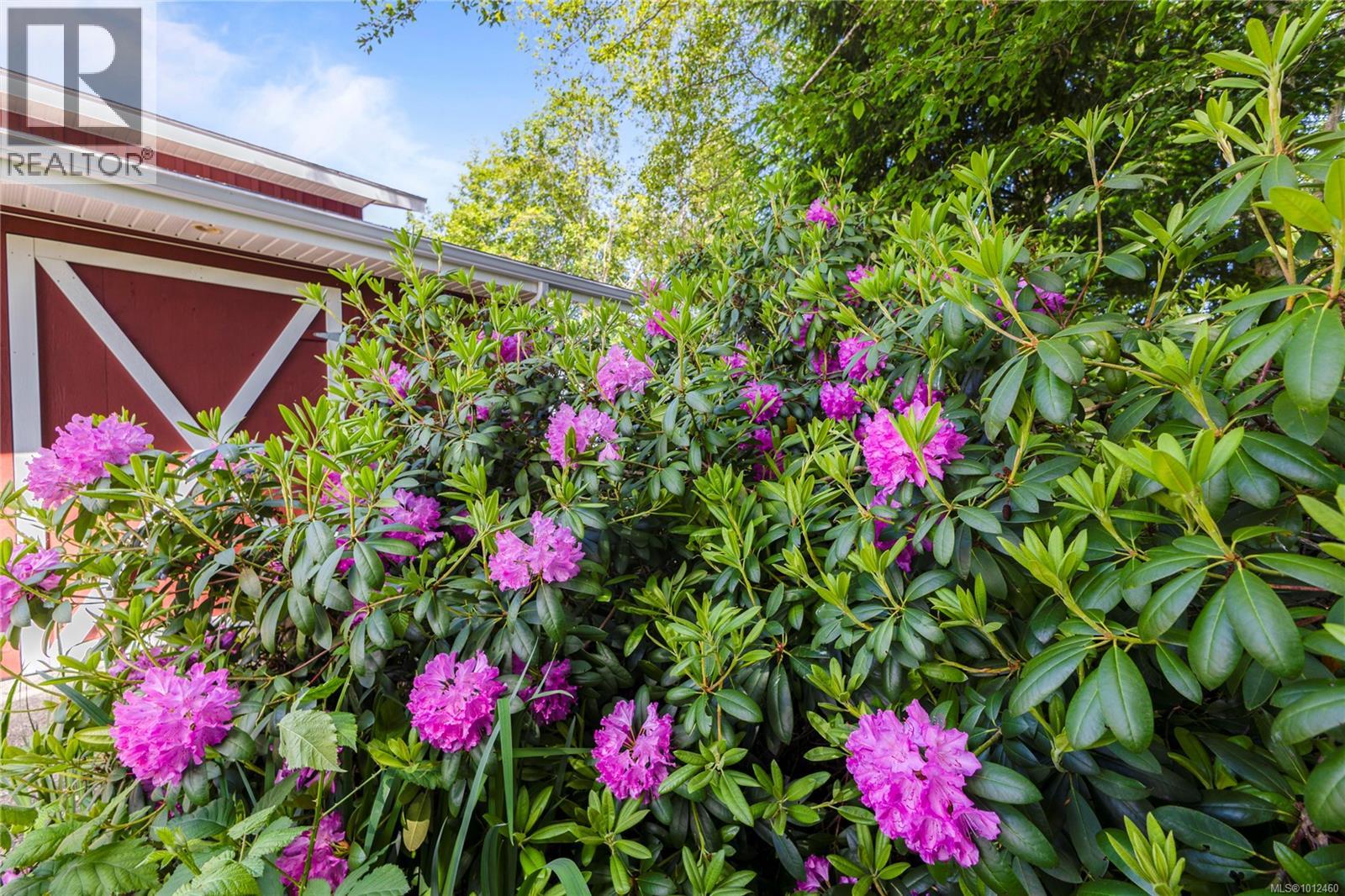 3816 Stuart Pl, Campbell River, British Columbia V9H 1J7 - Photo 57 - 1012460