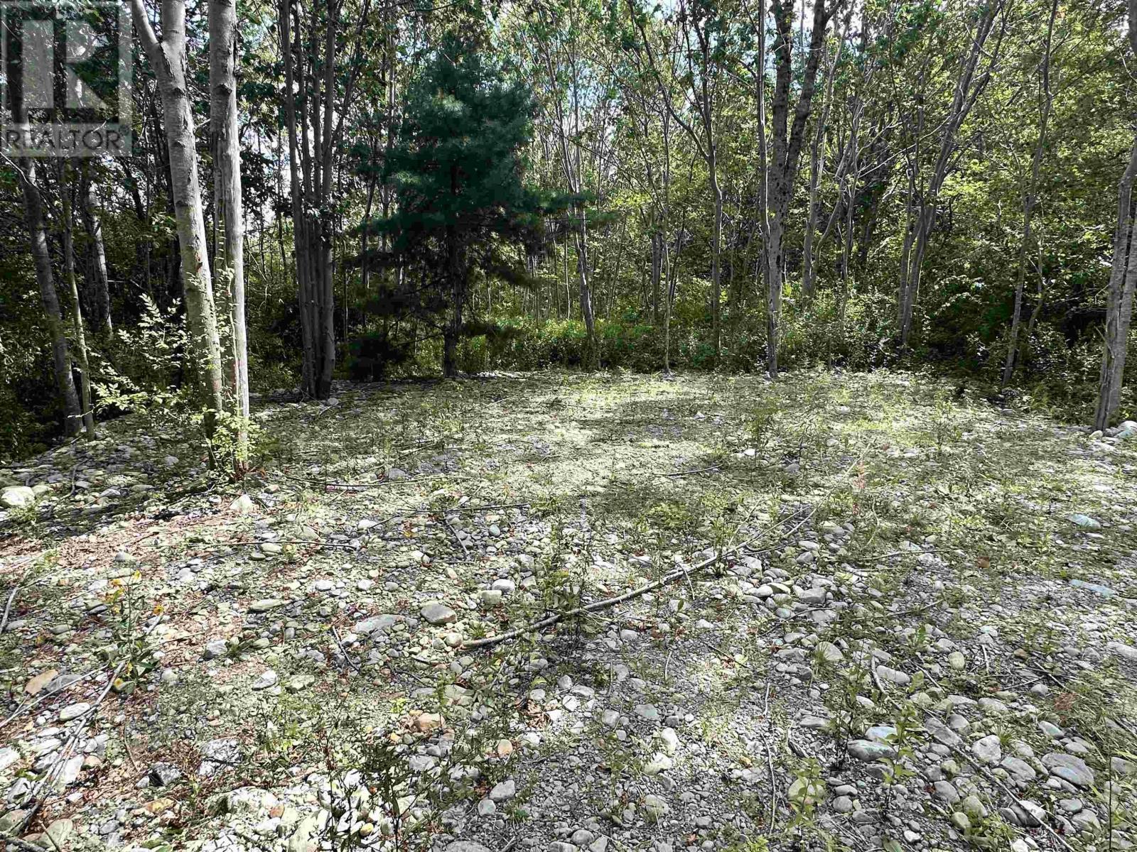 75 Brunswick Street, Liverpool, Nova Scotia  B0T 1K0 - Photo 6 - 202522147