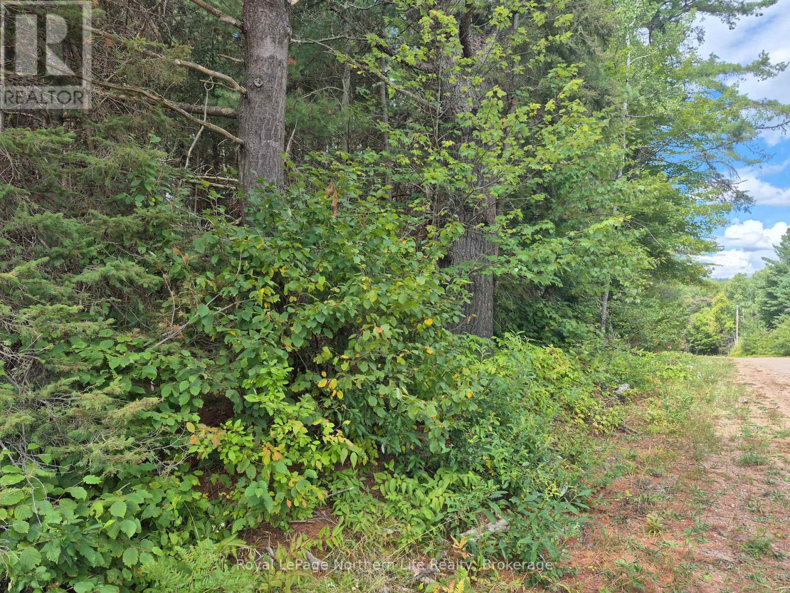 7 Burritts Road, Papineau-Cameron (Papineau Cameron), Ontario  P0H 1V0 - Photo 10 - X12375146