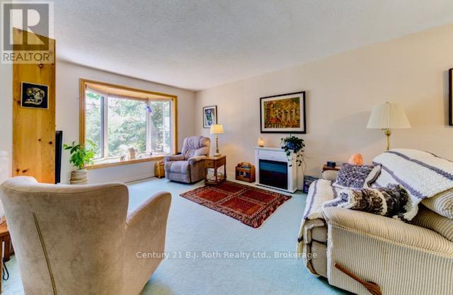 24 Champlain Street, Orillia, Ontario  L3V 2G7 - Photo 4 - S12374324