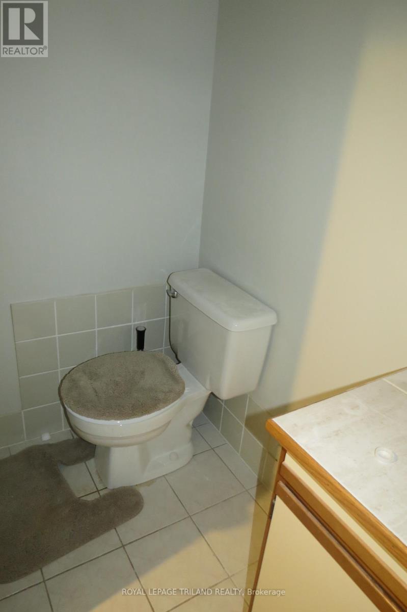 Lower - 76 Ardsley Road, London North, Ontario  N6G 3W4 - Photo 18 - X12375217