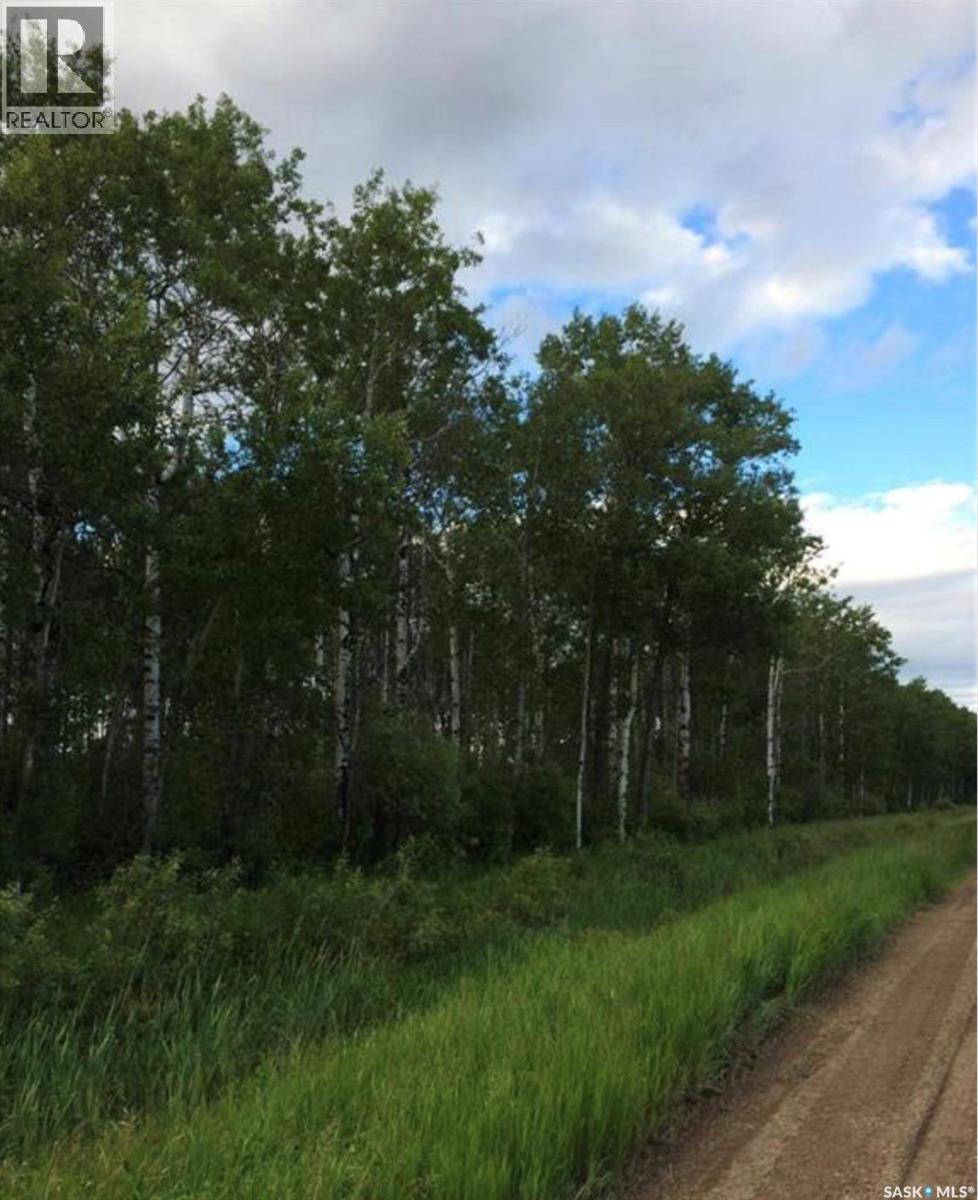 88 Acres Hudson Bay, Hudson Bay, Saskatchewan  S0E 0Y0 - Photo 11 - SK005905