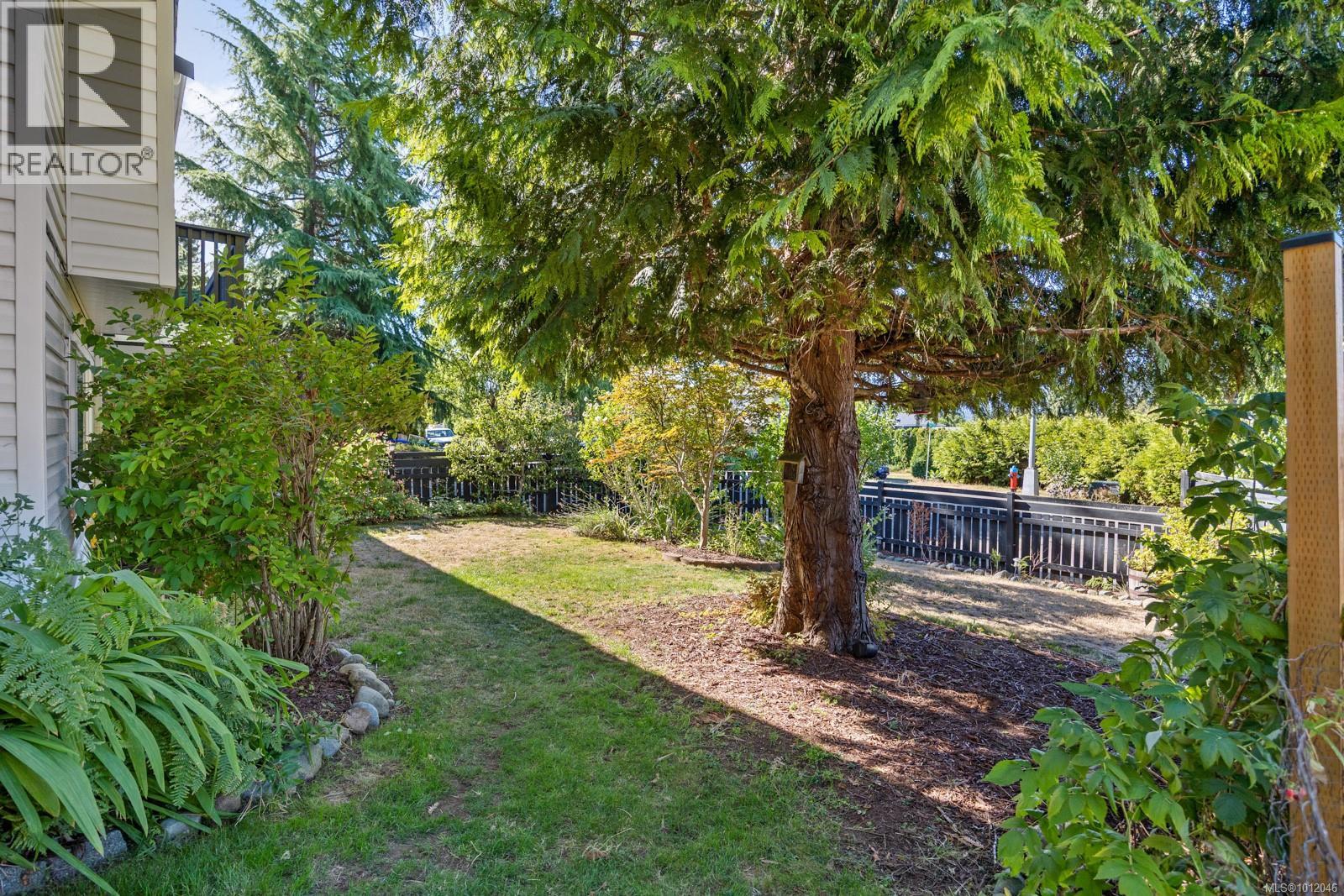 4664 Cruickshank Ave, Courtenay, British Columbia  V9N 7W6 - Photo 45 - 1012046