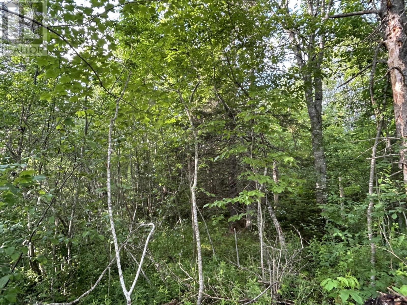 Lot K1 Greenfield Road, Greenfield, Nova Scotia  B4P 2R1 - Photo 4 - 202512250
