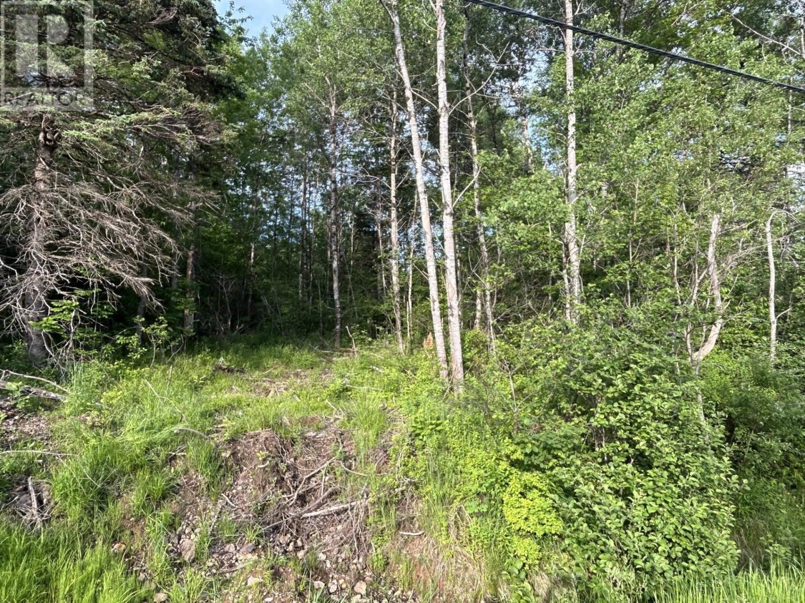Lot K1 Greenfield Road, Greenfield, Nova Scotia  B4P 2R1 - Photo 11 - 202512250