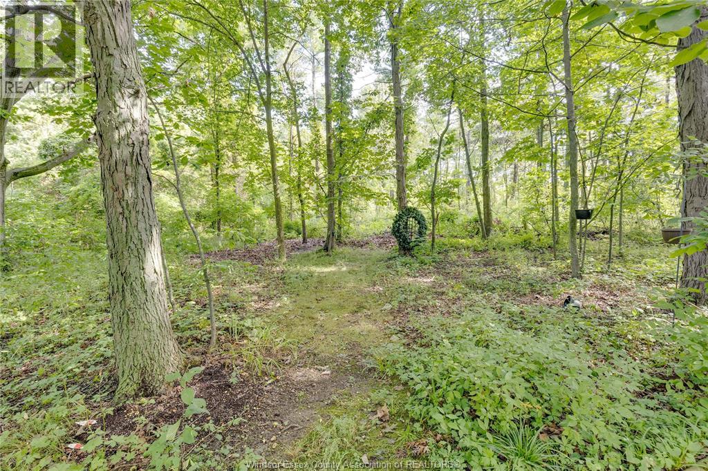 492 Gregory Line, Wheatley, Ontario  N0P 2P0 - Photo 46 - 25022008