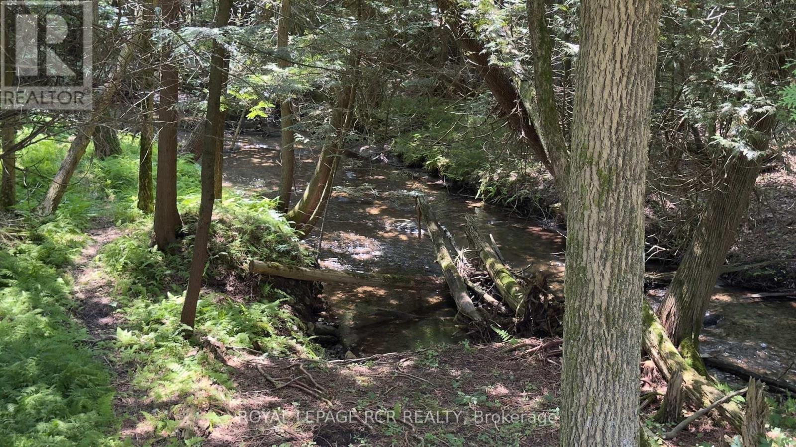 7561 Finnerty Side Road, Caledon, Ontario  L7E 0H5 - Photo 36 - W12297664