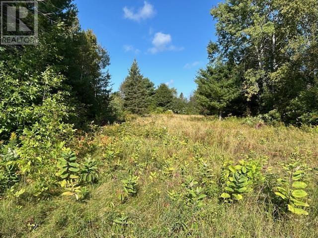 13 Riverview Dr, Iron Bridge, Ontario  P0R 1H0 - Photo 3 - SM252457