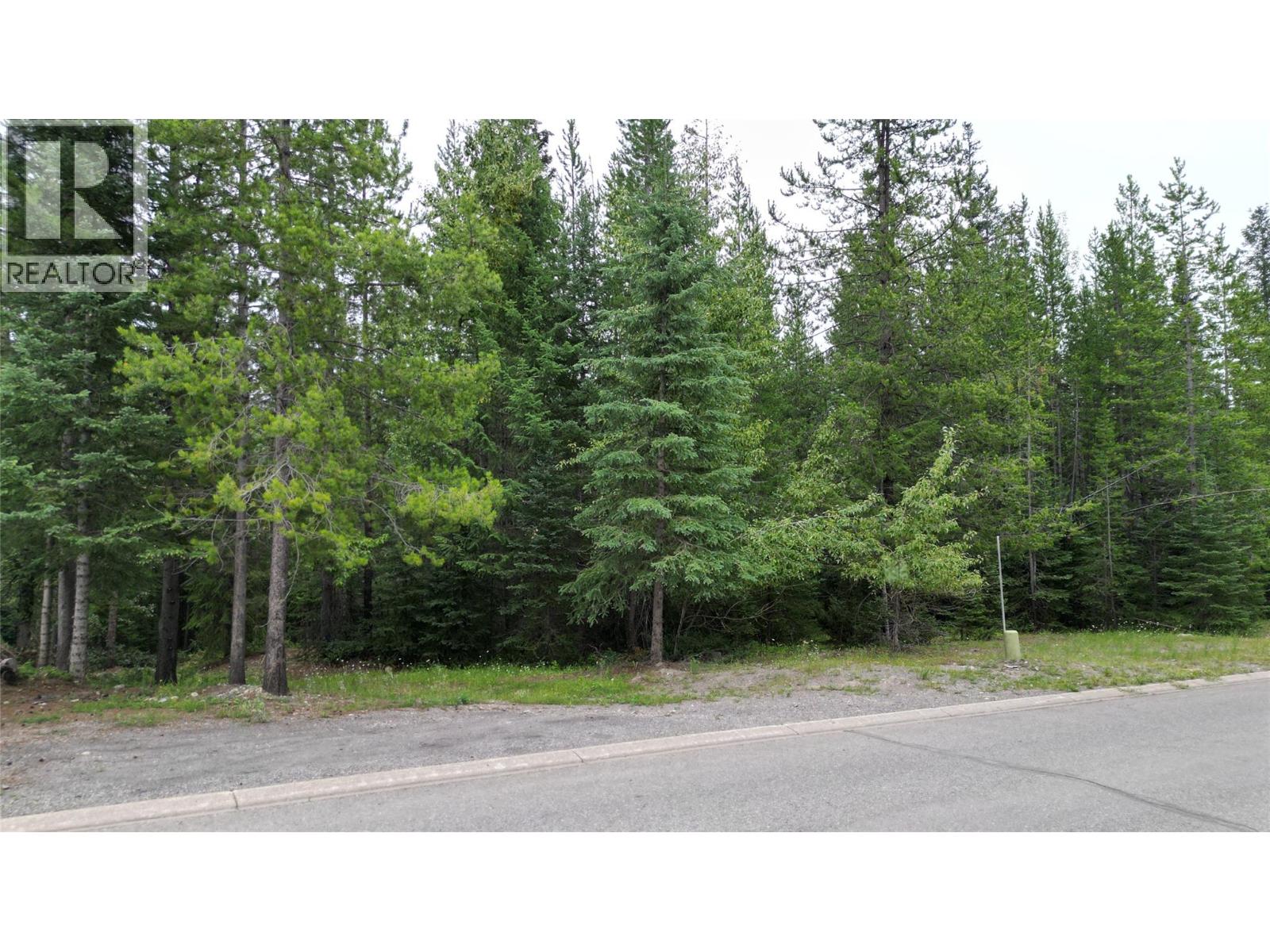 39 Douglas Crescent, Elkford, British Columbia  V0B 1H0 - Photo 4 - 10358164