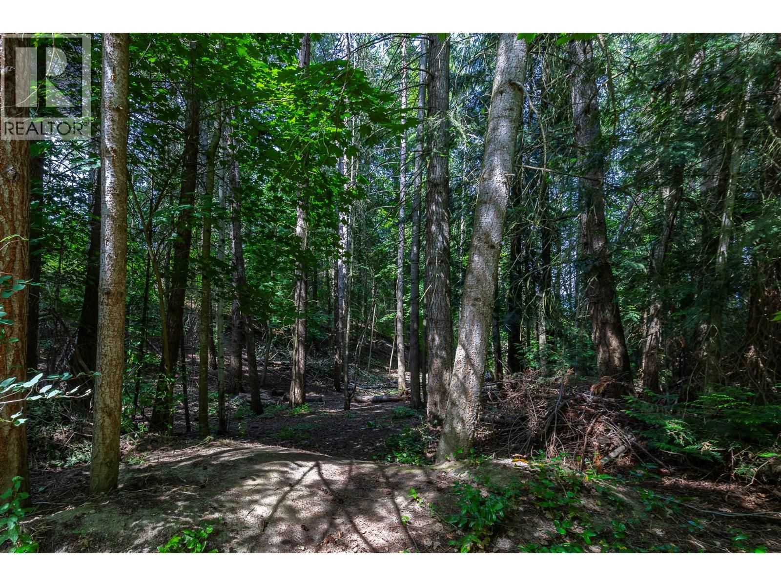 2861 5 Avenue Se, Salmon Arm, British Columbia  V1E 2H1 - Photo 47 - 10360973
