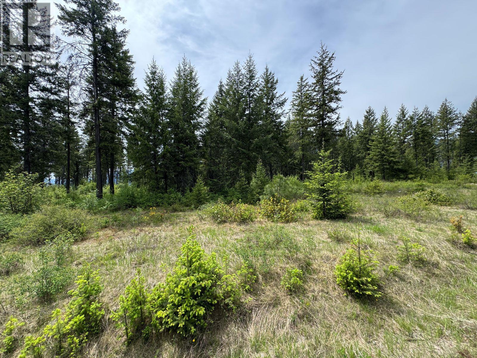Lot 16 Caitlin Road, Christina Lake, British Columbia  V0H 1E0 - Photo 5 - 10349855