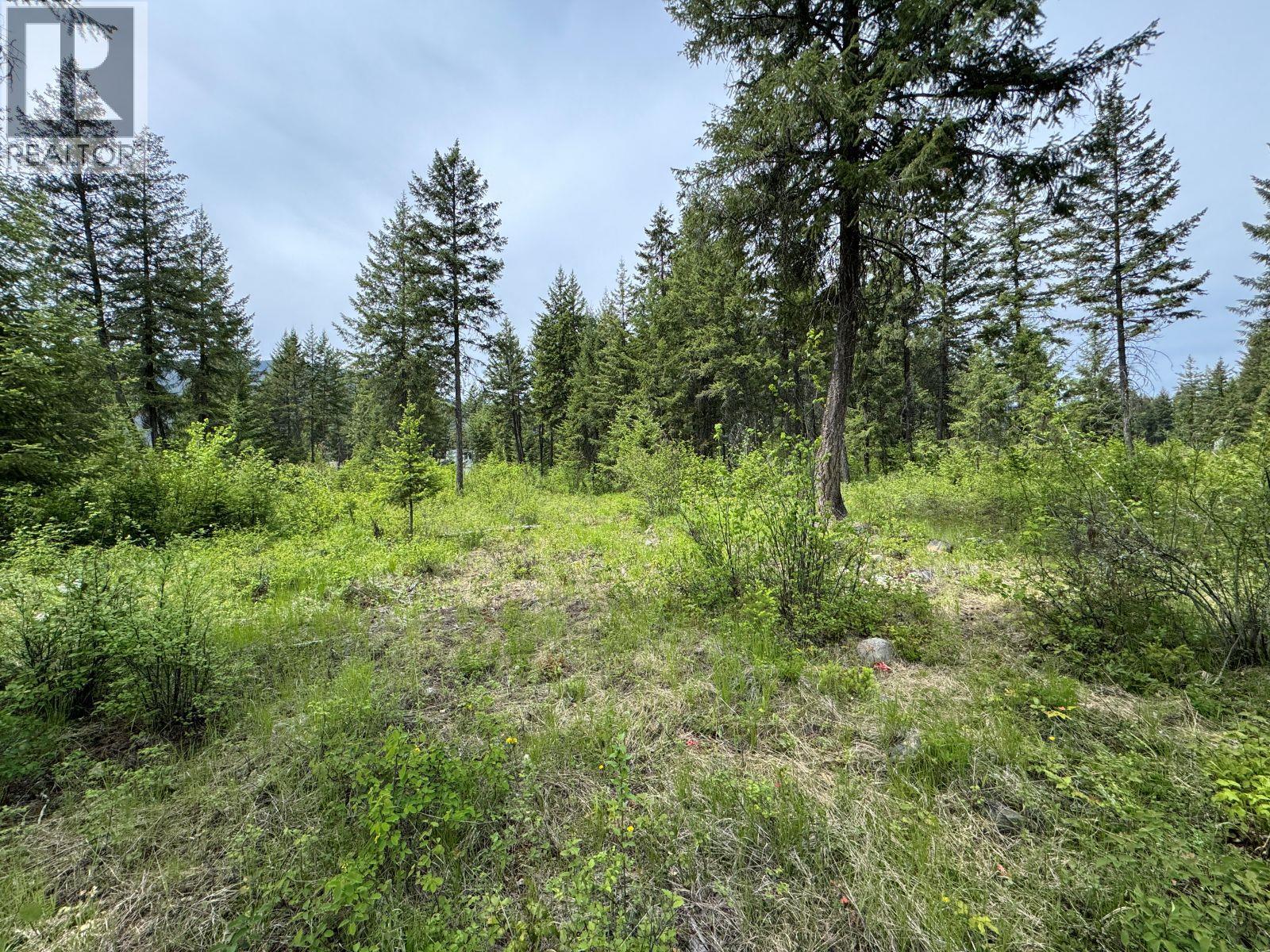 Lot 16 Caitlin Road, Christina Lake, British Columbia  V0H 1E0 - Photo 6 - 10349855