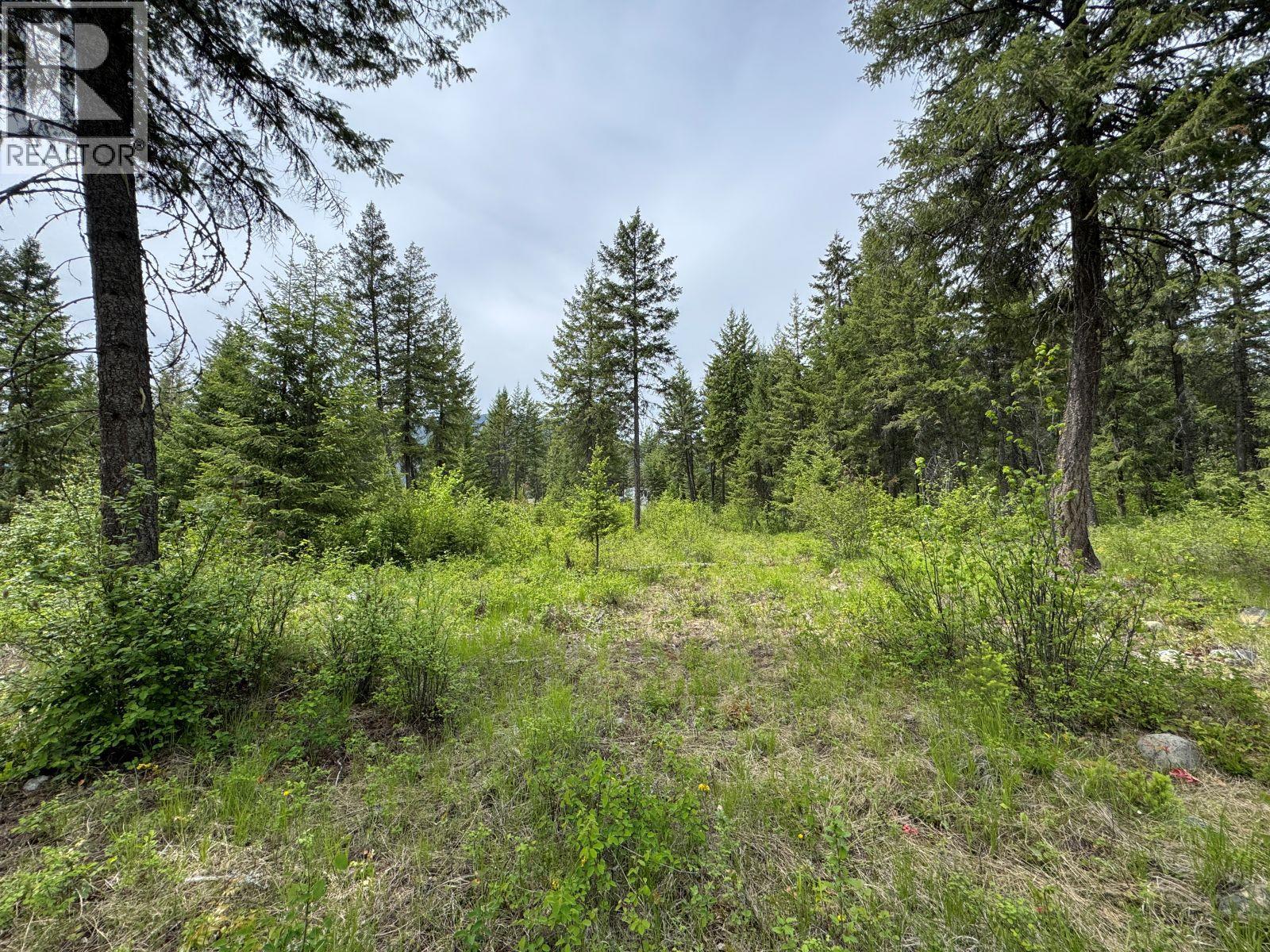 Lot 16 Caitlin Road, Christina Lake, British Columbia  V0H 1E0 - Photo 7 - 10349855