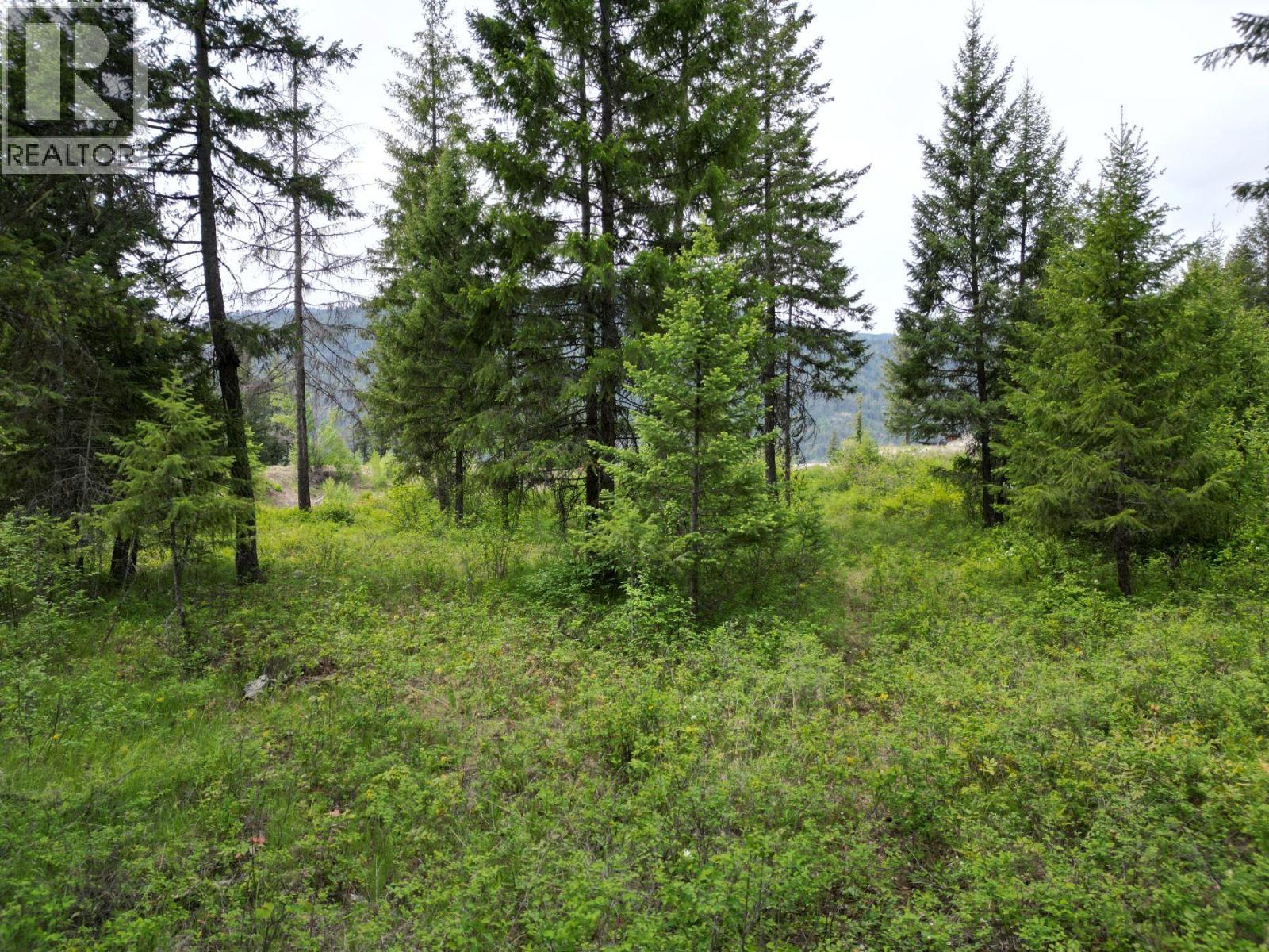 Lot 16 Caitlin Road, Christina Lake, British Columbia  V0H 1E0 - Photo 8 - 10349855