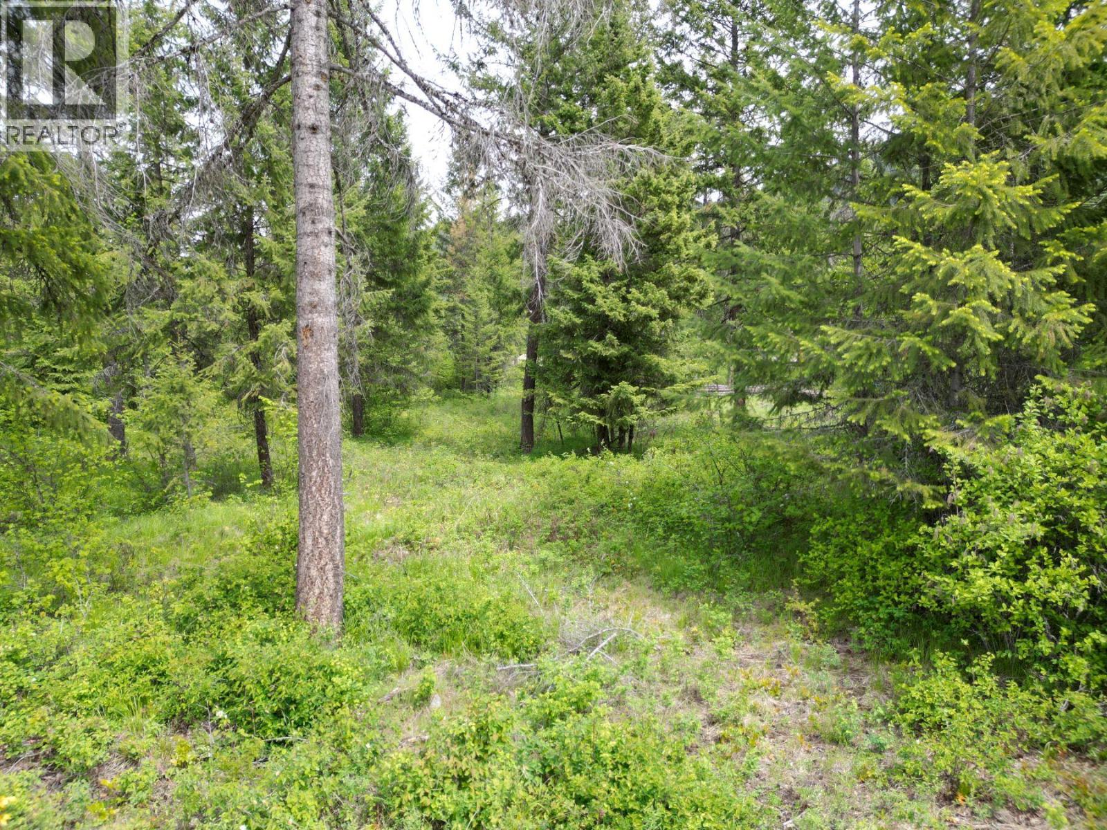 Lot 16 Caitlin Road, Christina Lake, British Columbia  V0H 1E0 - Photo 3 - 10349855