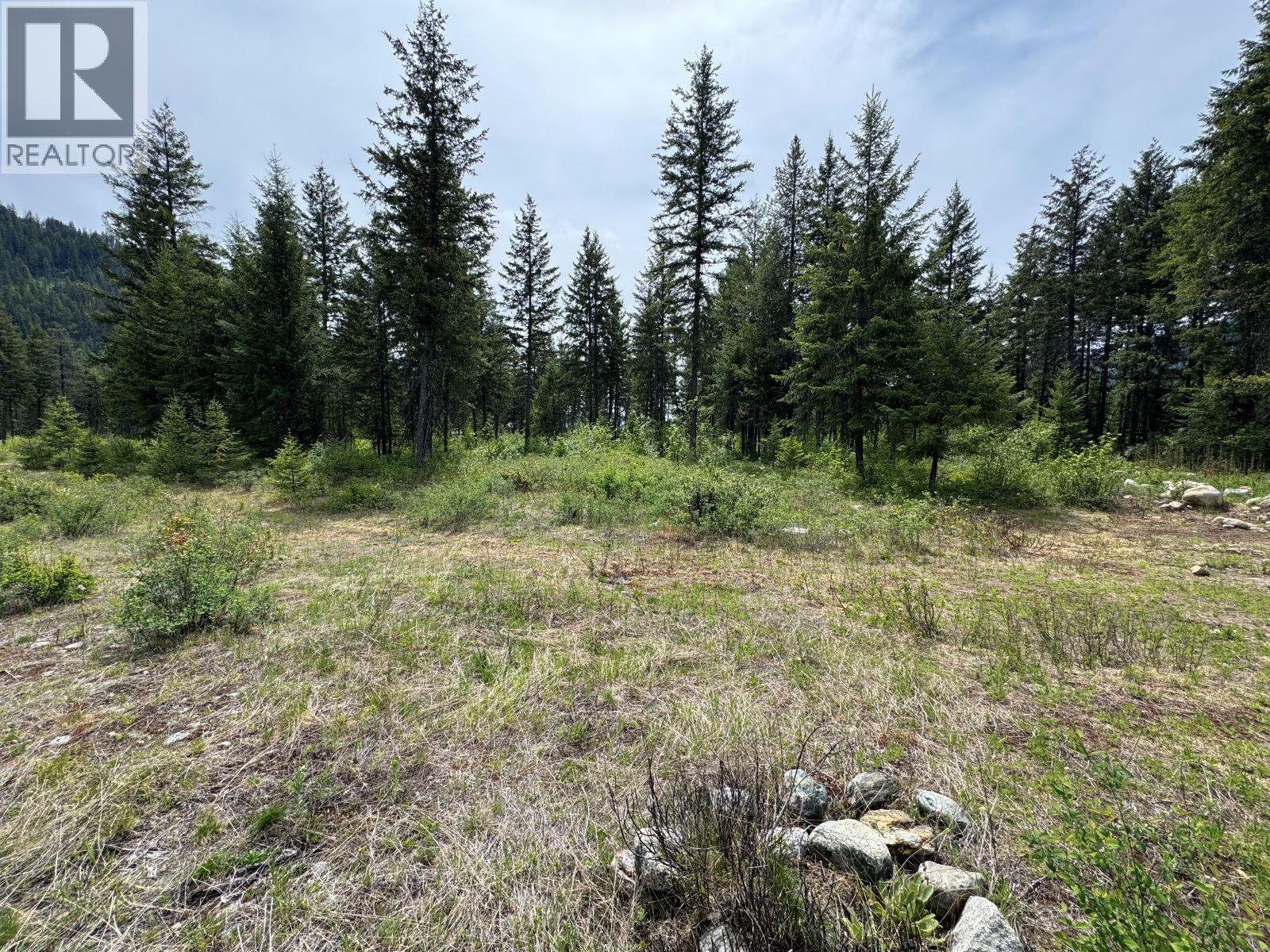 Lot 16 Caitlin Road, Christina Lake, British Columbia  V0H 1E0 - Photo 4 - 10349855