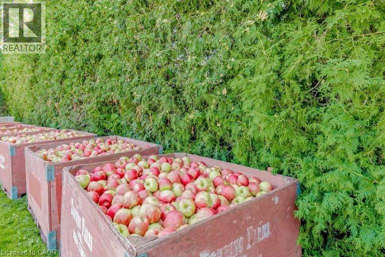 475 Alway Road, Grimsby, Ontario  L3S 4R4 - Photo 14 - 40765457