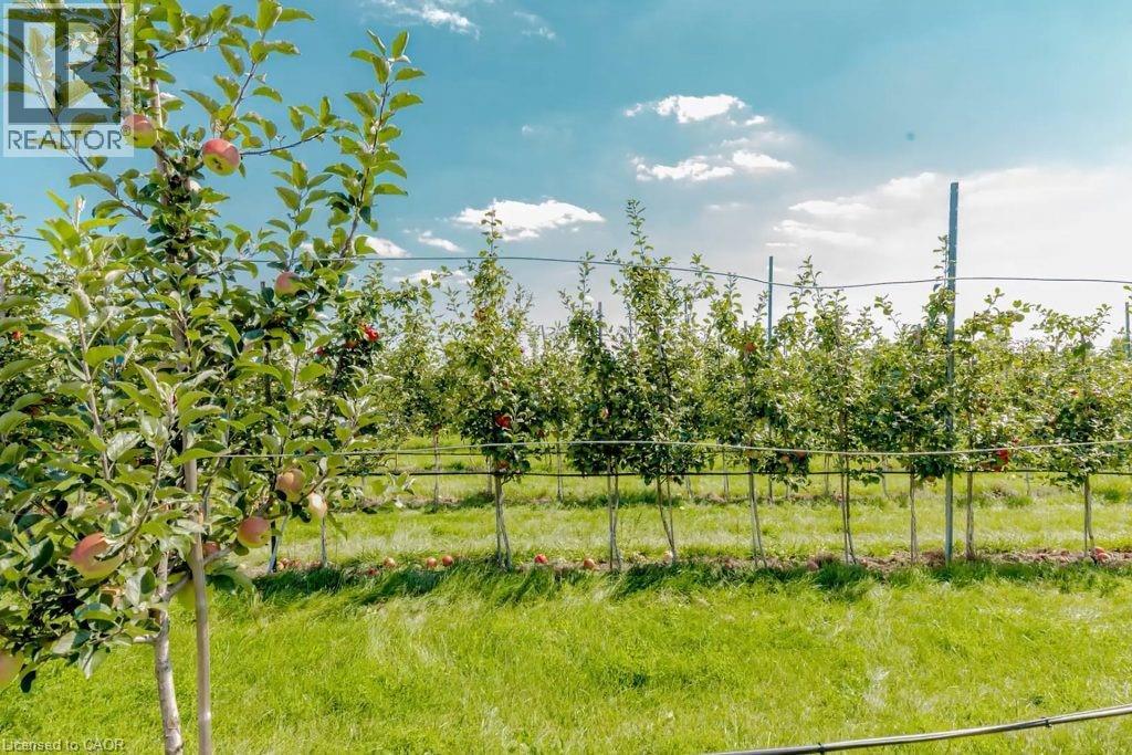 475 Alway Road, Grimsby, Ontario  L3S 4R4 - Photo 33 - 40765457