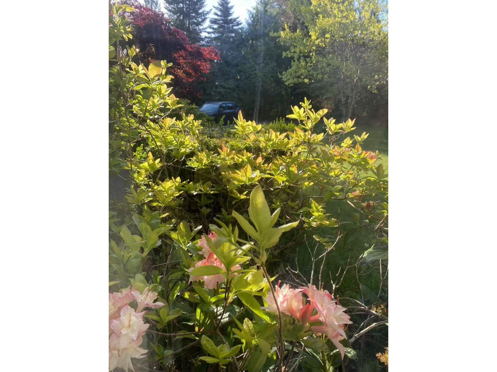 17327 26a Avenue, Surrey, British Columbia  V3Z 0E6 - Photo 7 - R3005707