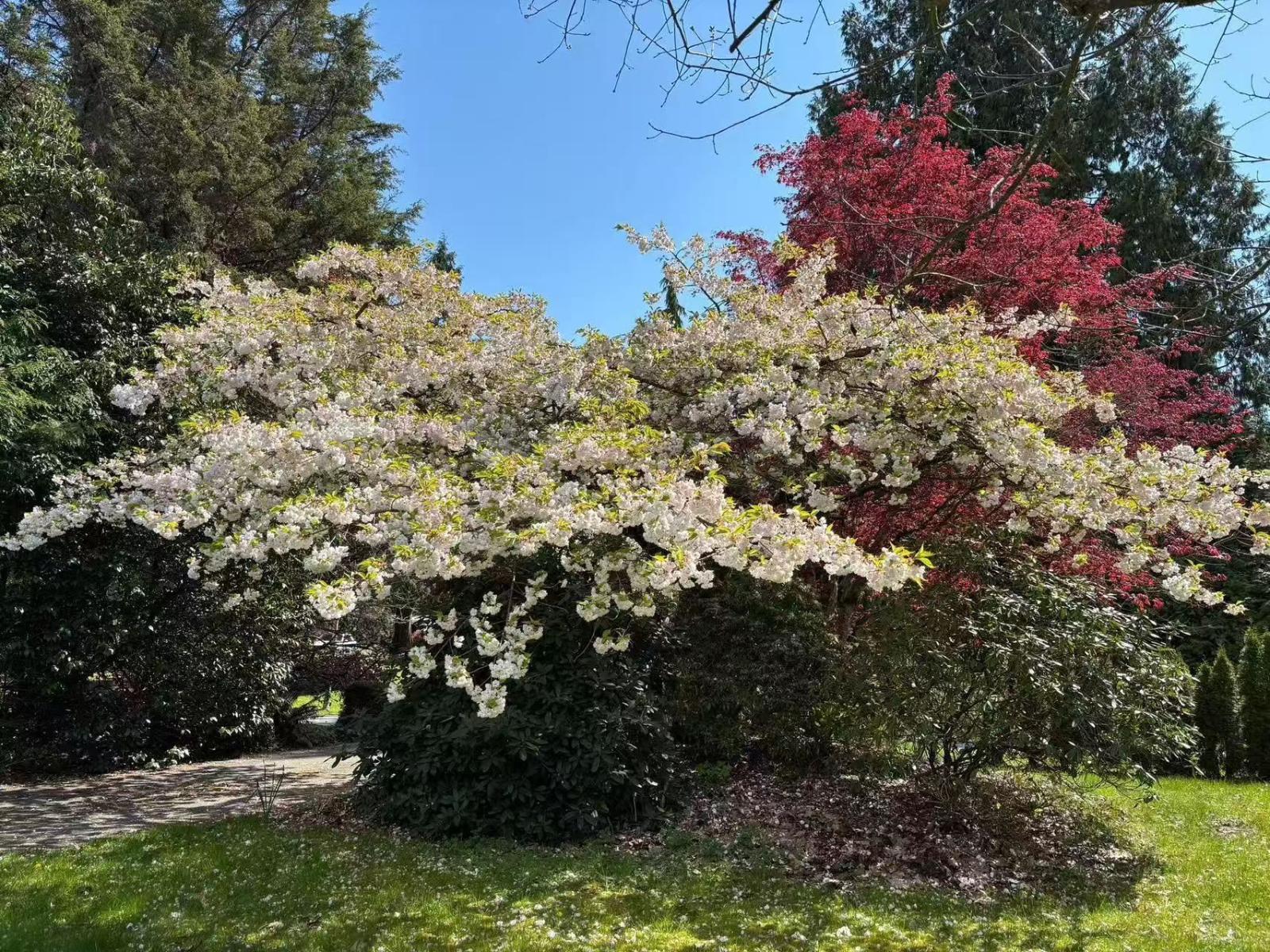 17327 26a Avenue, Surrey, British Columbia  V3Z 0E6 - Photo 6 - R3005707